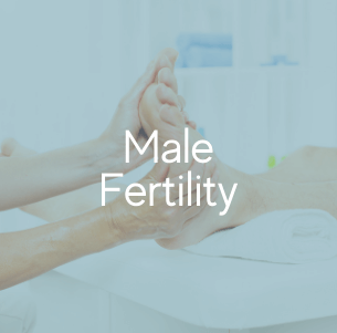 Male Fertility